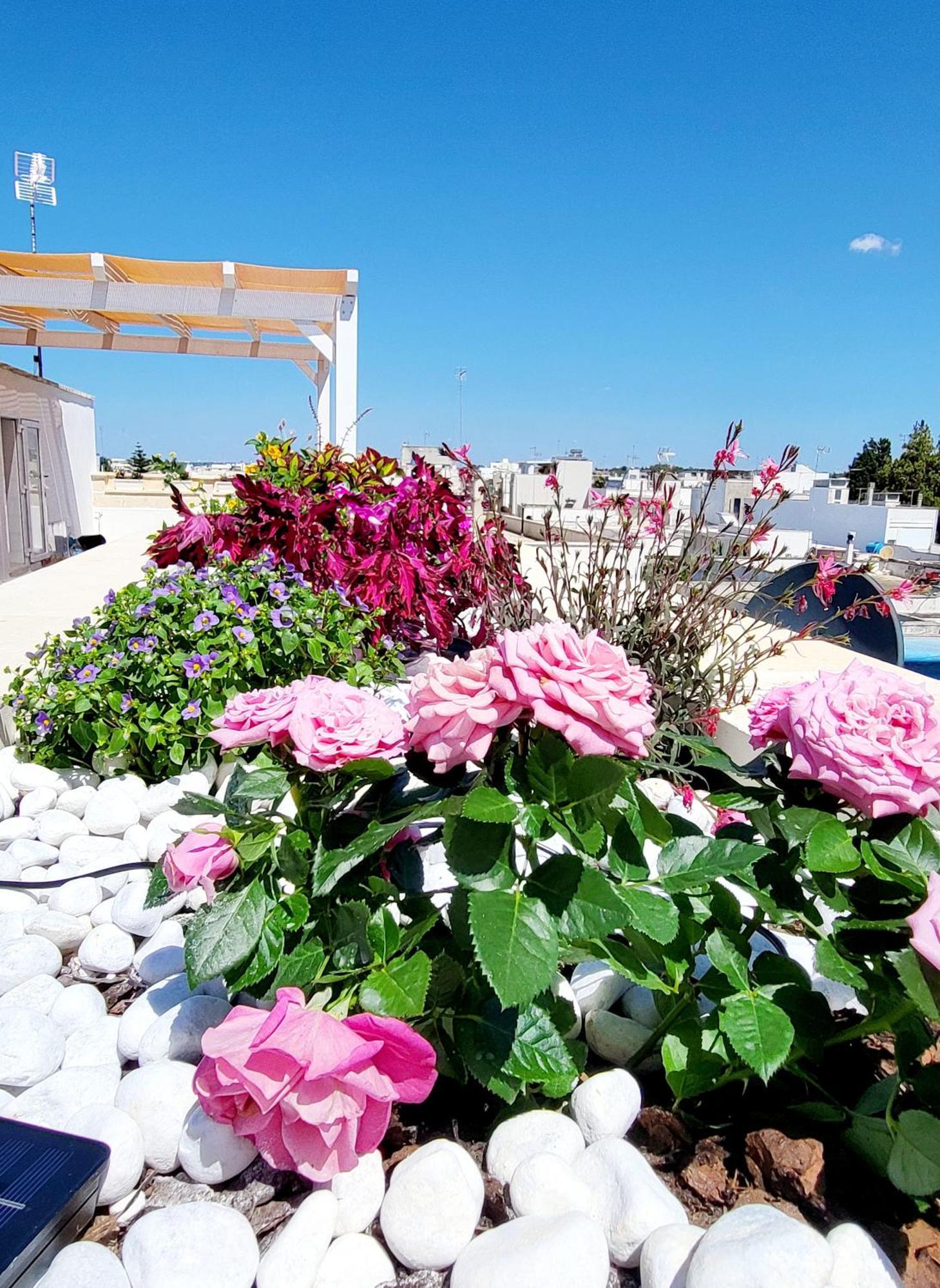 Aquamarina Rooms ปอร์โตเชซาเรโอ ภายนอก รูปภาพ